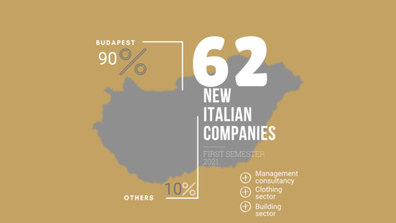 Analysis of the Italian companies in Hungary founded in the first semester of 2021