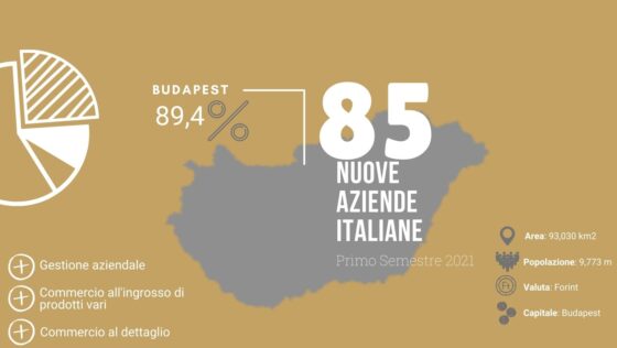 Analisi delle aziende italiane in Ungheria fondate nel primo semestre 2021