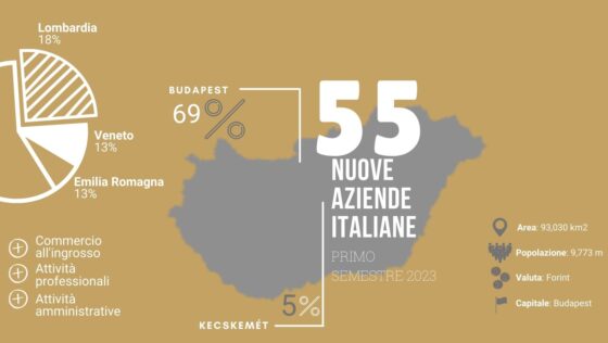 Analysis of the Italian companies founded in Hungary in the first half of 2023