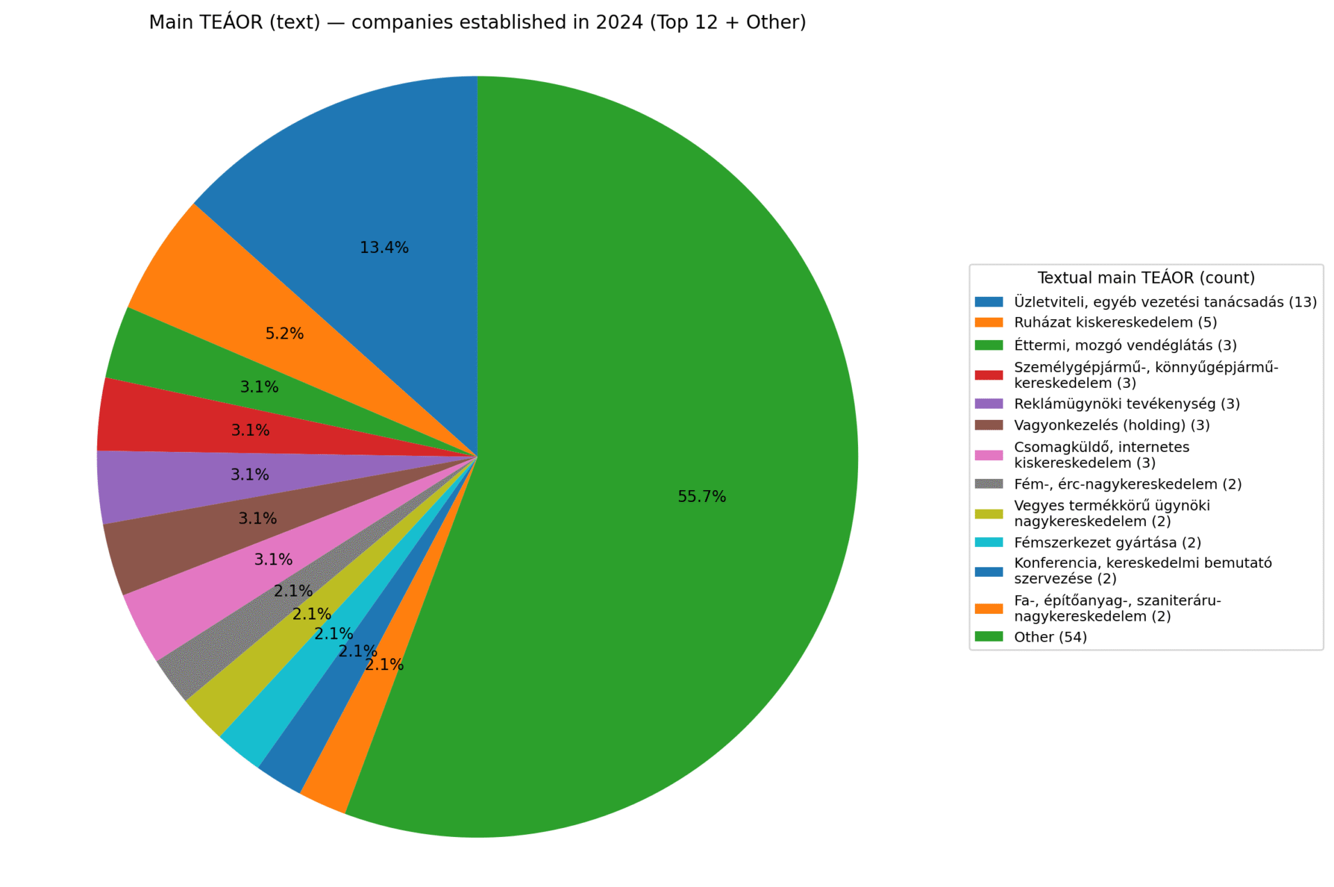Main TEÁOR activities of Italian companies established in 2024 (Top 12 categories + ‘Other’). The distribution is highly fragmented: the largest single category is management consulting, while most companies fall into many smaller sectors grouped under ‘Other’.